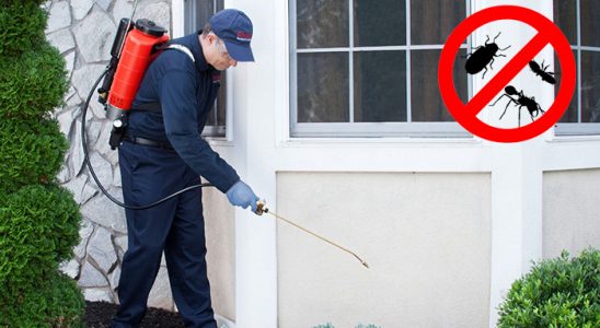 Ağrı Dezenfeksiyon böcek ilaçlama ve haşere kontrolü — ilaclama-tr.com